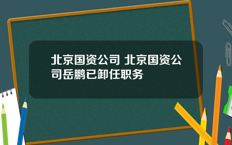 北京国资公司 北京国资公司岳鹏已卸任职务